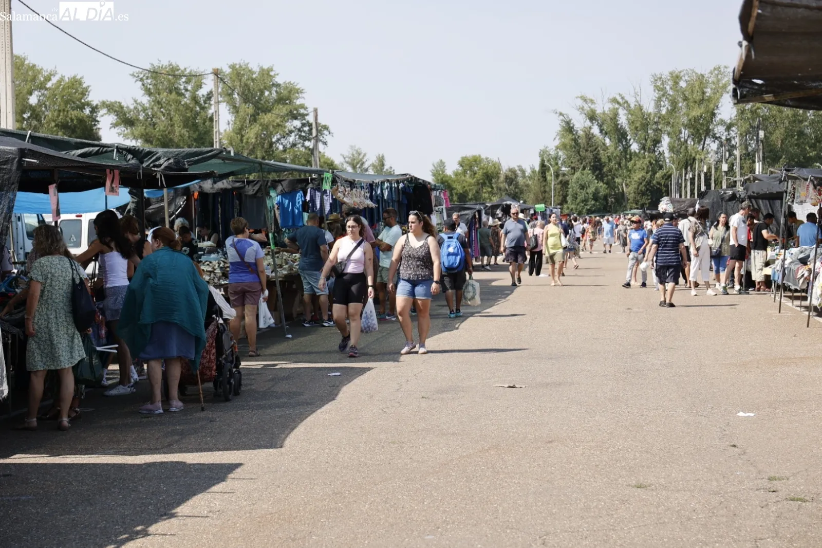 Foto 13 - El Rastro de Salamanca mantiene su actividad pese al calor veraniego en el primer domingo de agosto (FOTOS)