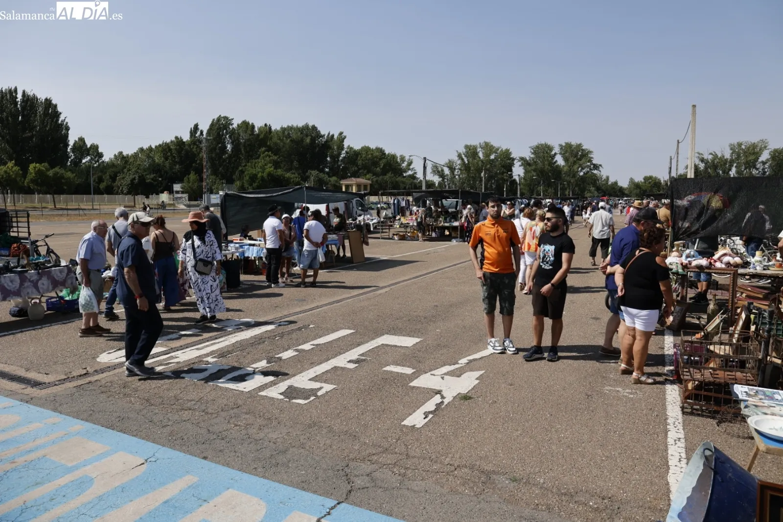 Foto 12 - El Rastro de Salamanca mantiene su actividad pese al calor veraniego en el primer domingo de agosto (FOTOS)