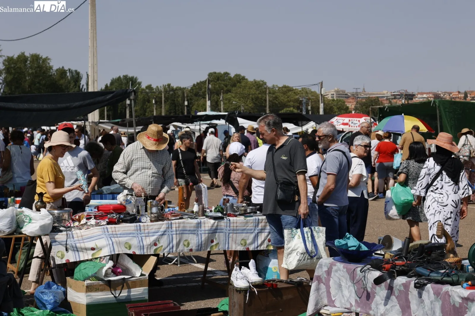Foto 2 - El Rastro de Salamanca mantiene su actividad pese al calor veraniego en el primer domingo de agosto (FOTOS)