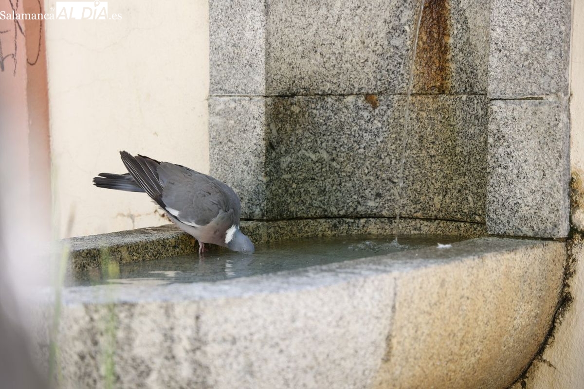 Alerta por tormentas en Salamanca este miércoles 13 de agosto