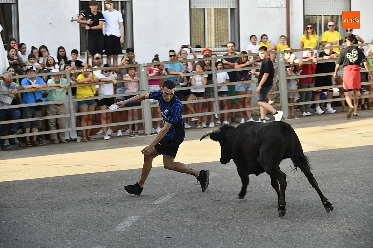 Vaquillas en Agallas durant las fiestas del Cristo del Buen Suceso/ Fotos: Adrián M.Pastor