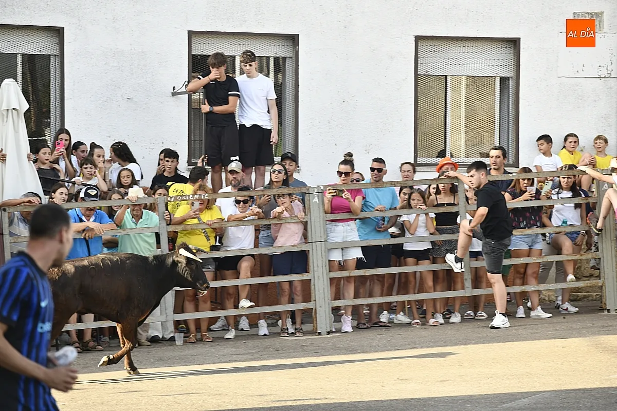 Vaquillas en Agallas durant las fiestas del Cristo del Buen Suceso/ Fotos: Adrián M.Pastor
