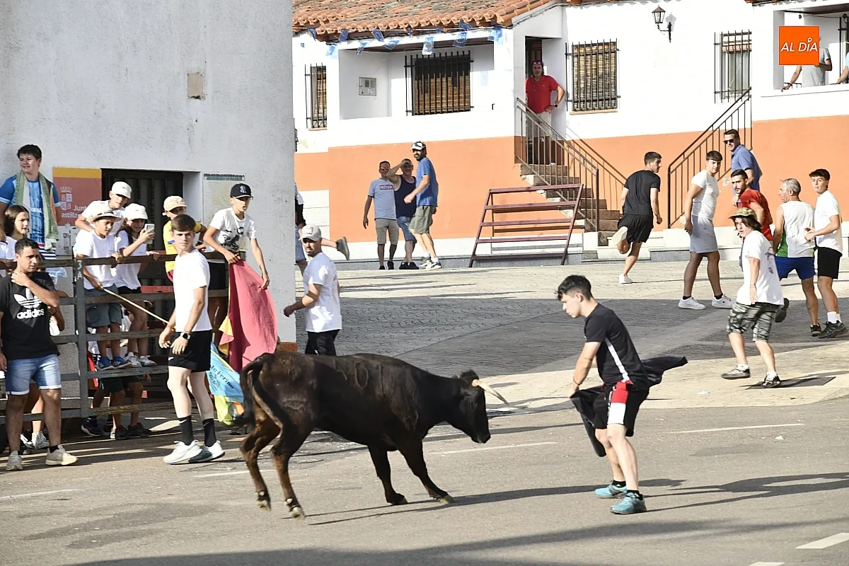 Vaquillas en Agallas durant las fiestas del Cristo del Buen Suceso/ Fotos: Adrián M.Pastor