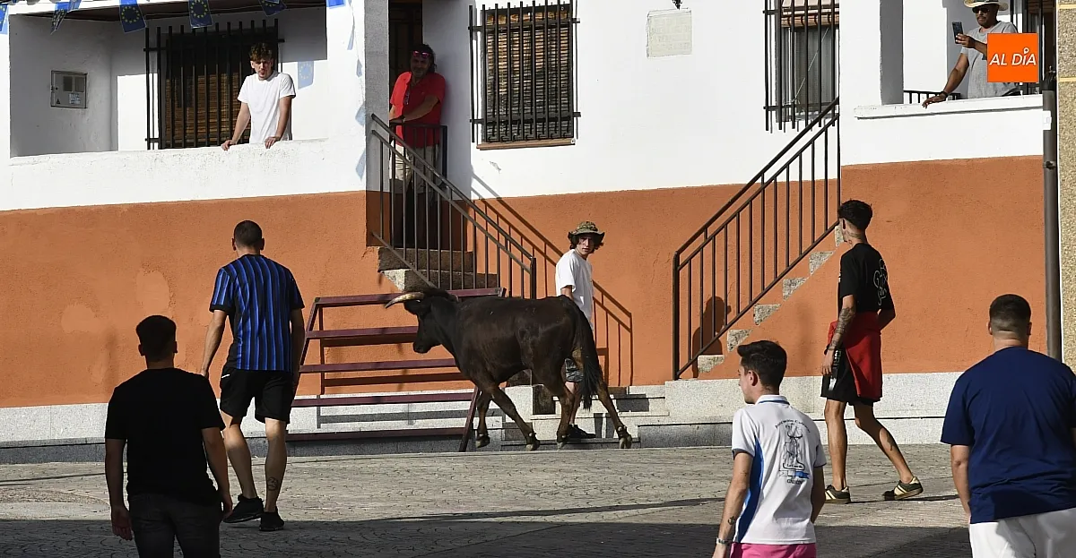 Vaquillas en Agallas durant las fiestas del Cristo del Buen Suceso/ Fotos: Adrián M.Pastor