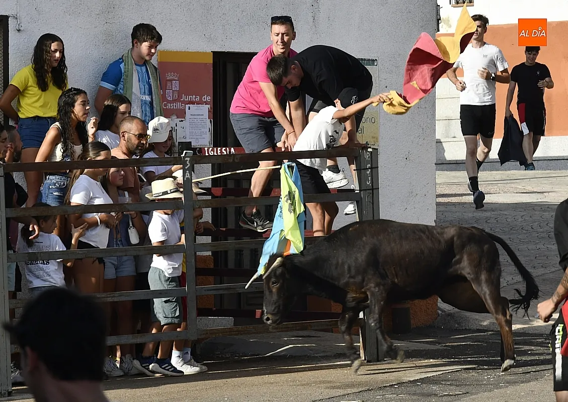 Vaquillas en Agallas durant las fiestas del Cristo del Buen Suceso/ Fotos: Adrián M.Pastor