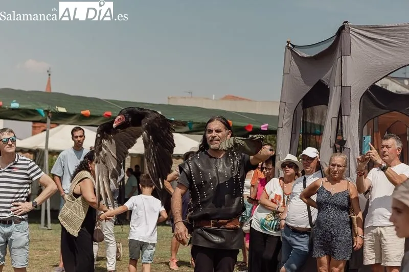 Foto 15 - Espect&aacute;culo de cetrer&iacute;a medieval en el Castillo de los Duques de Alba