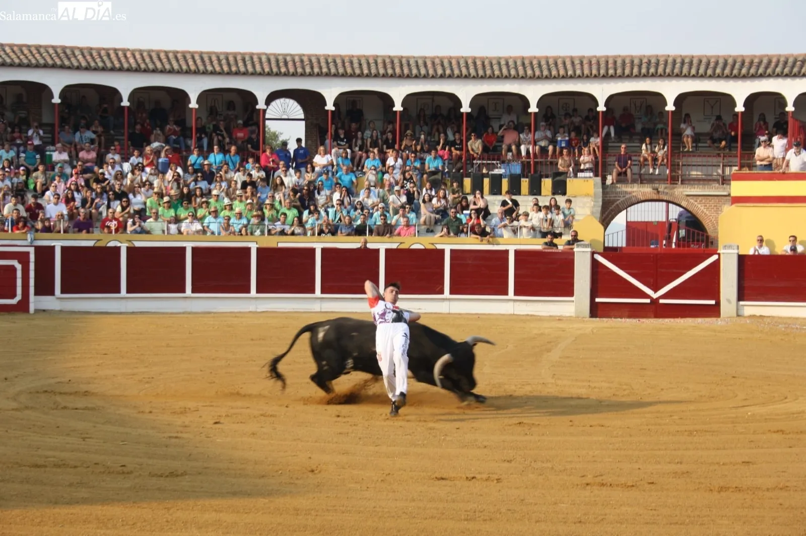 Foto 2 - Espect&aacute;culo en el ruedo y gran ambiente en las gradas para un emocionante Concurso de Cortes en las Ferias y Fiestas