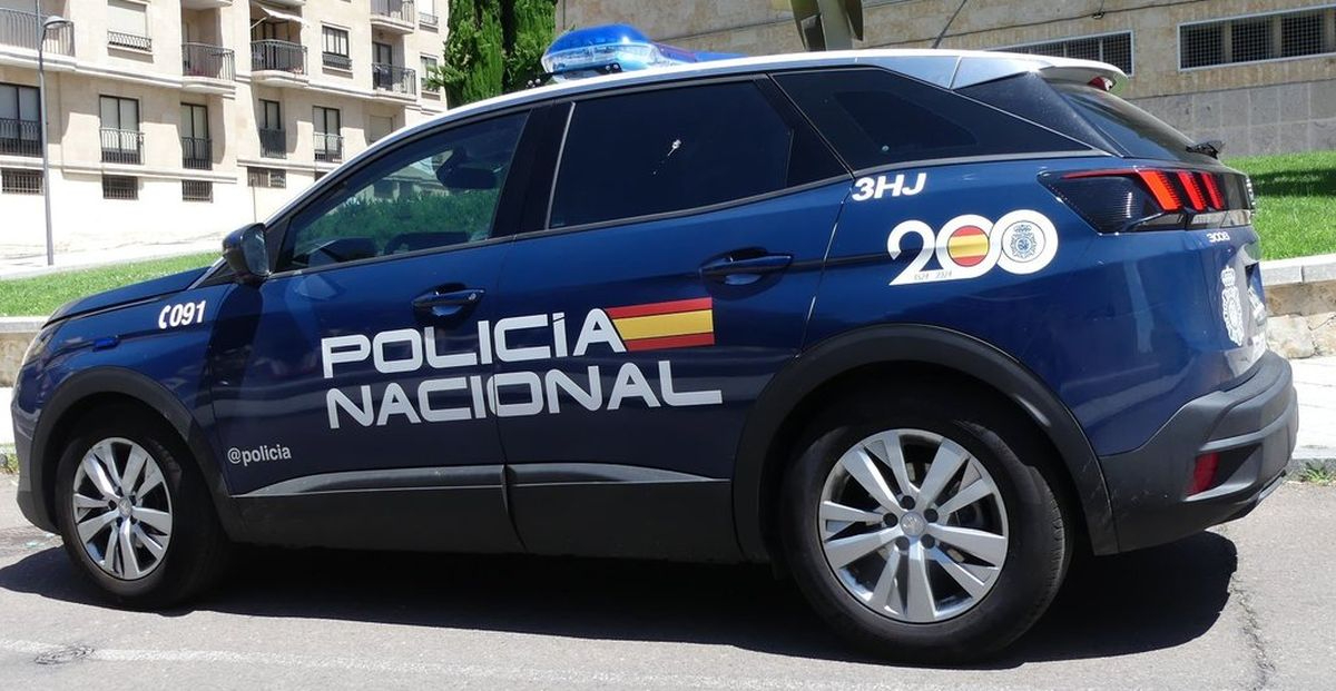 Detenidos en Salamanca dos ladrones por robos en coches y un local