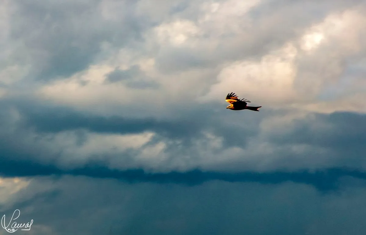 Fotografía tomada por Manuel Lamas para ilustrar el vídeo poema El cielo perseguido