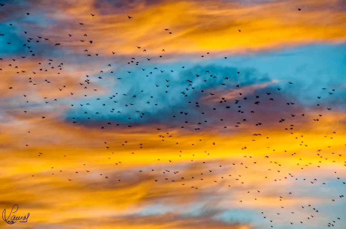Fotografía tomada por Manuel Lamas para ilustrar el vídeo poema El cielo perseguido