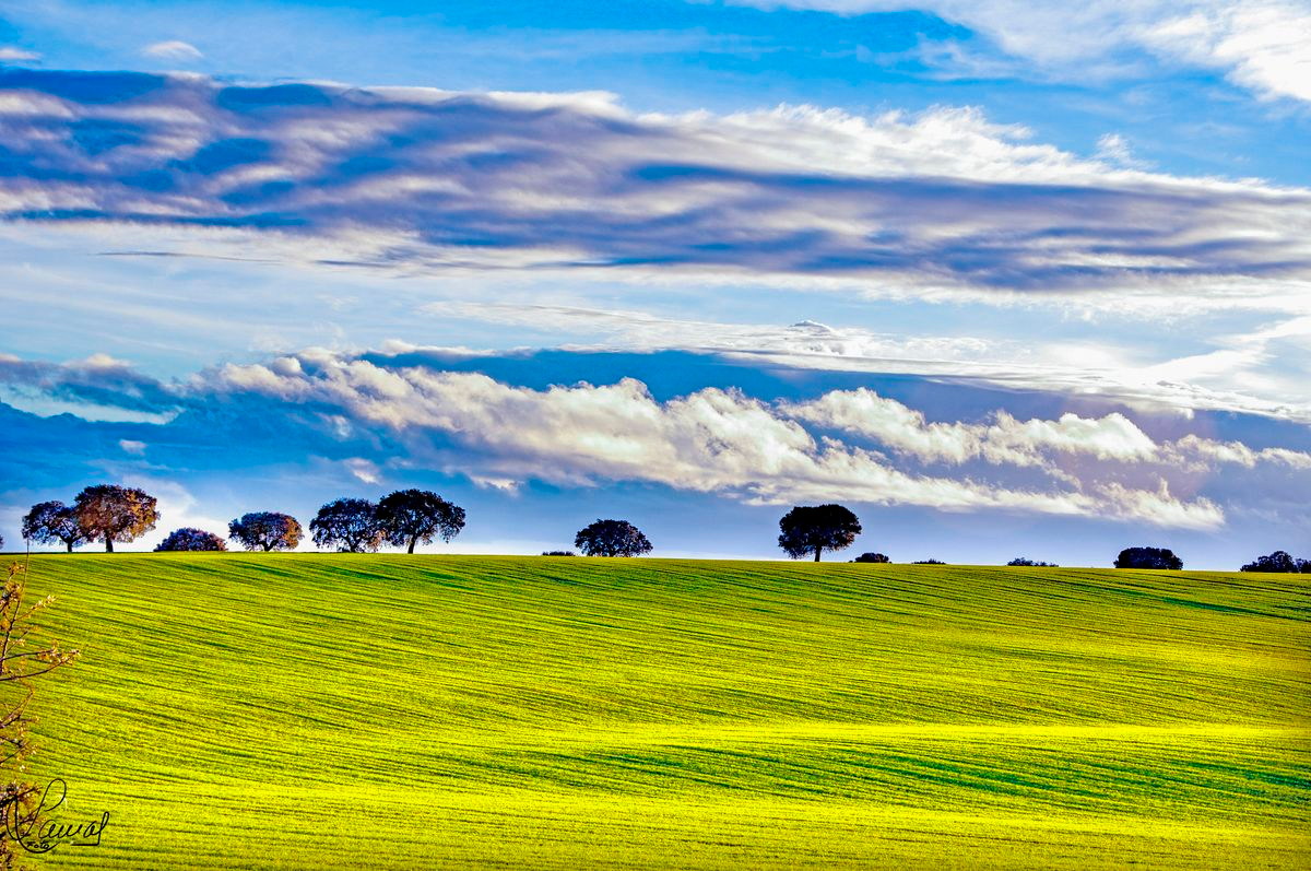 Vídeo poesía de Manuel Lamas titulada El cielo perseguido