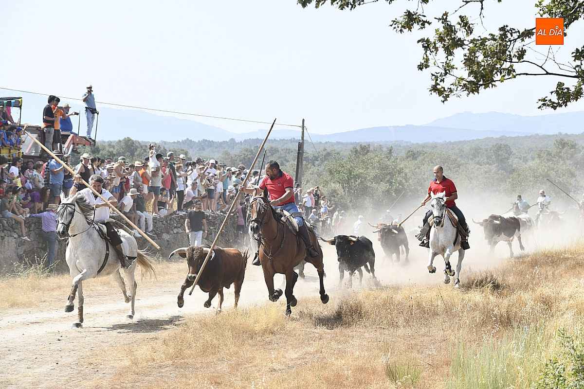  Encierro a Caballo en Casillas de Flores 2025