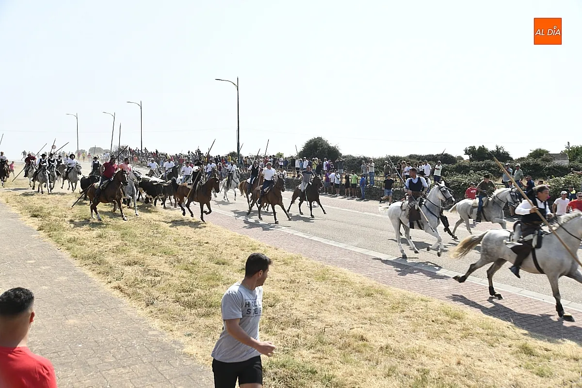 Foto 14 - R&aacute;pido y limpio primer encierro de las fiestas de Fuenteguinaldo