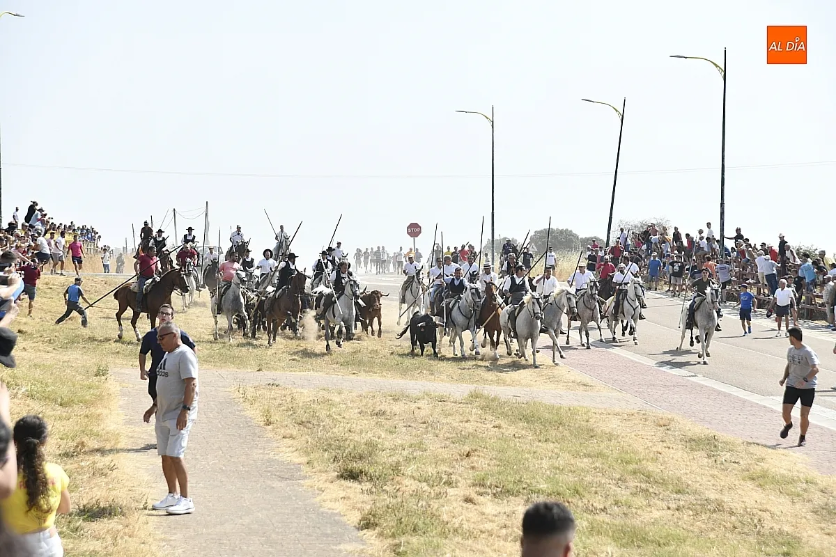 Foto 5 - R&aacute;pido y limpio primer encierro de las fiestas de Fuenteguinaldo