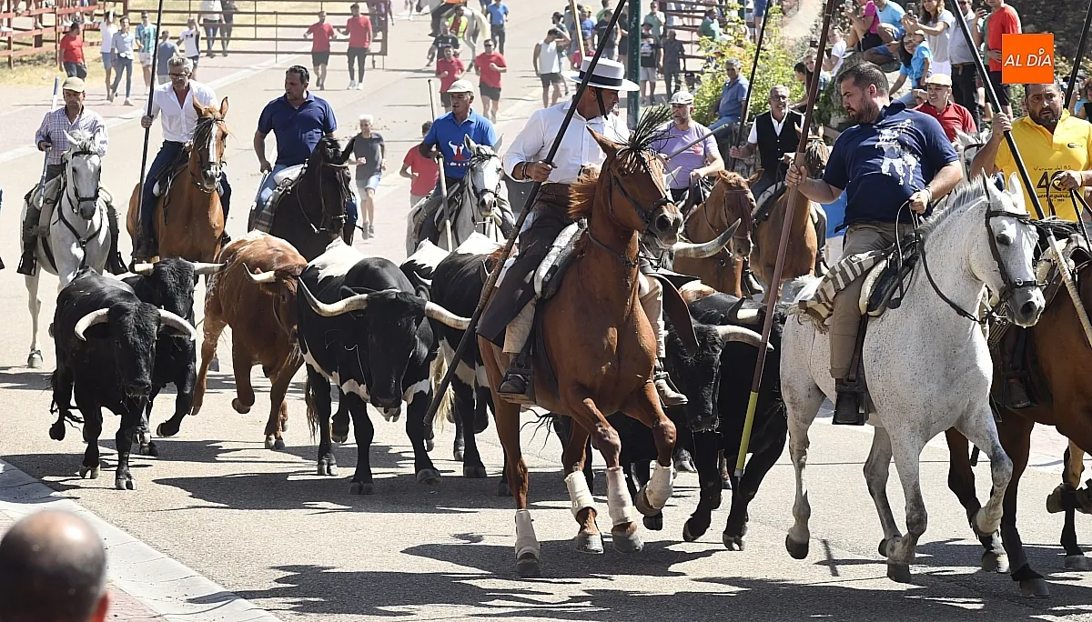 Encierro a caballo del lunes en Fuenteguinaldo/ Fotos: Adrián M.Pastor