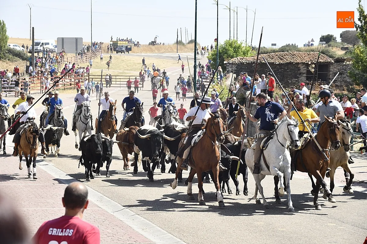 Encierro a caballo del lunes en Fuenteguinaldo/ Fotos: Adrián M.Pastor