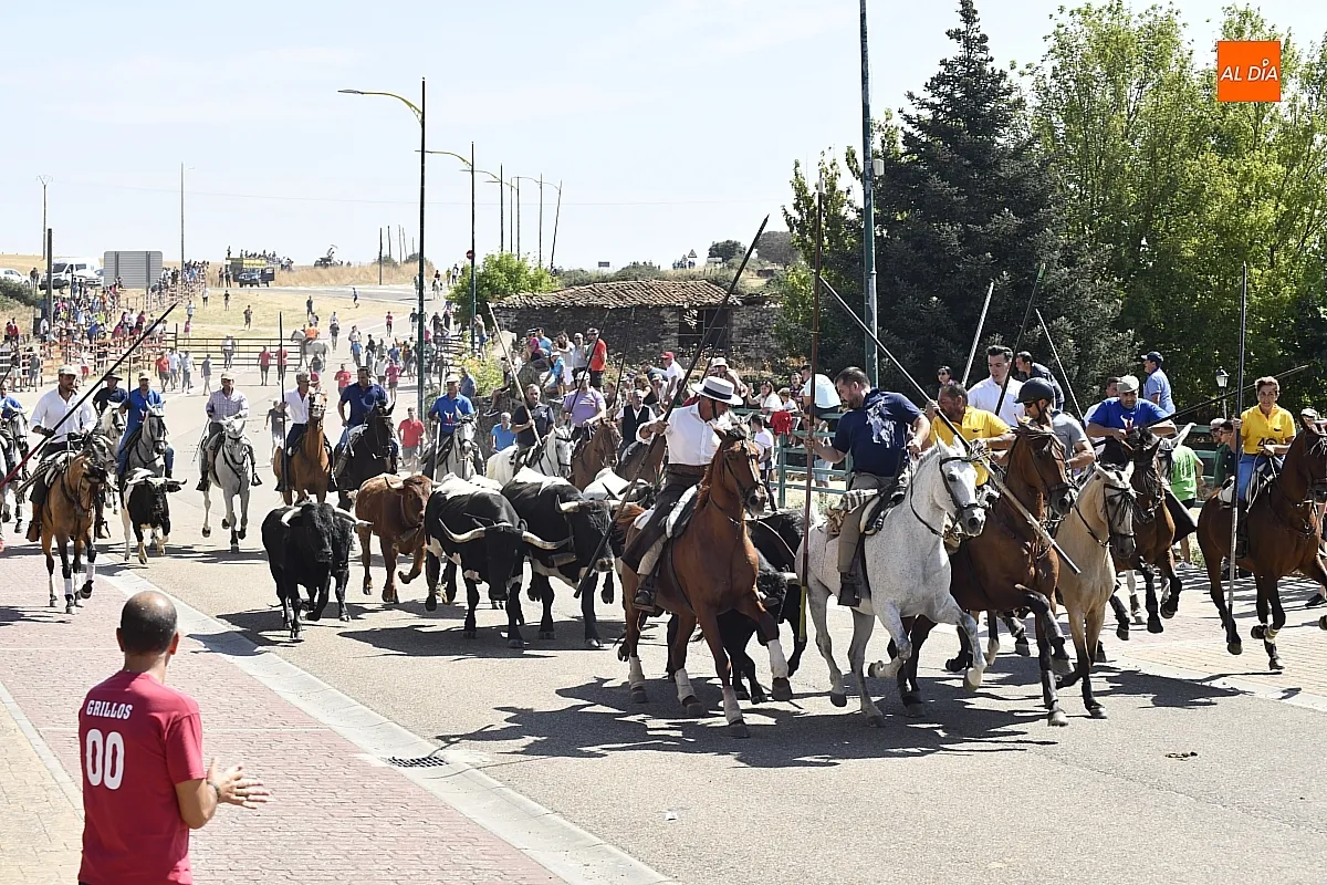 Encierro a caballo del lunes en Fuenteguinaldo/ Fotos: Adrián M.Pastor
