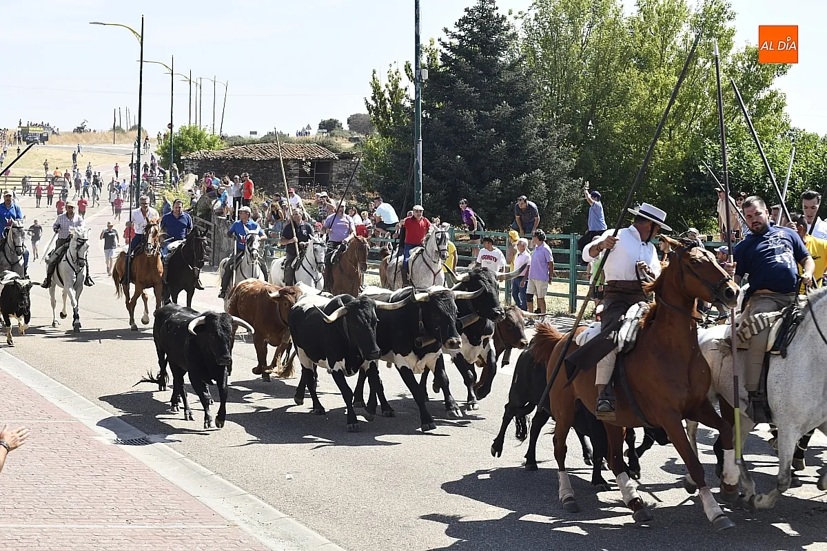 Encierro a caballo del lunes en Fuenteguinaldo/ Fotos: Adrián M.Pastor