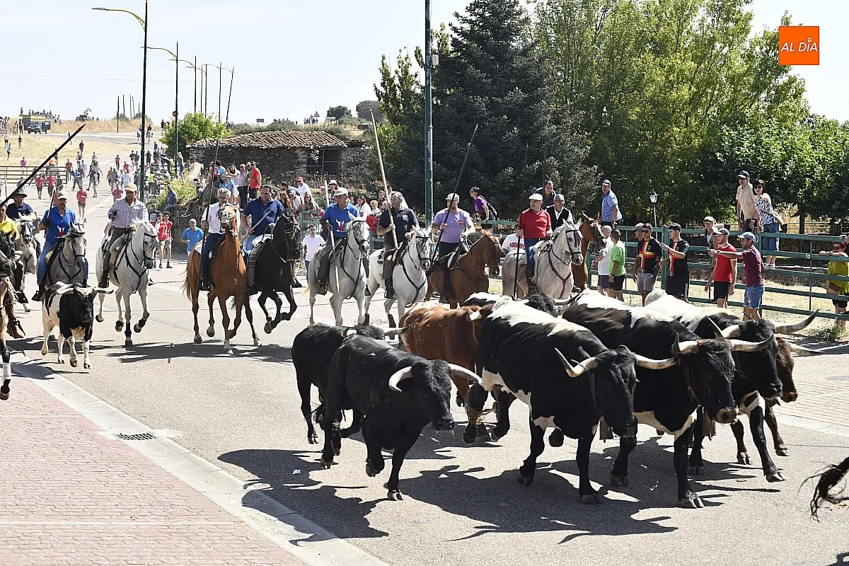Encierro a caballo del lunes en Fuenteguinaldo/ Fotos: Adrián M.Pastor