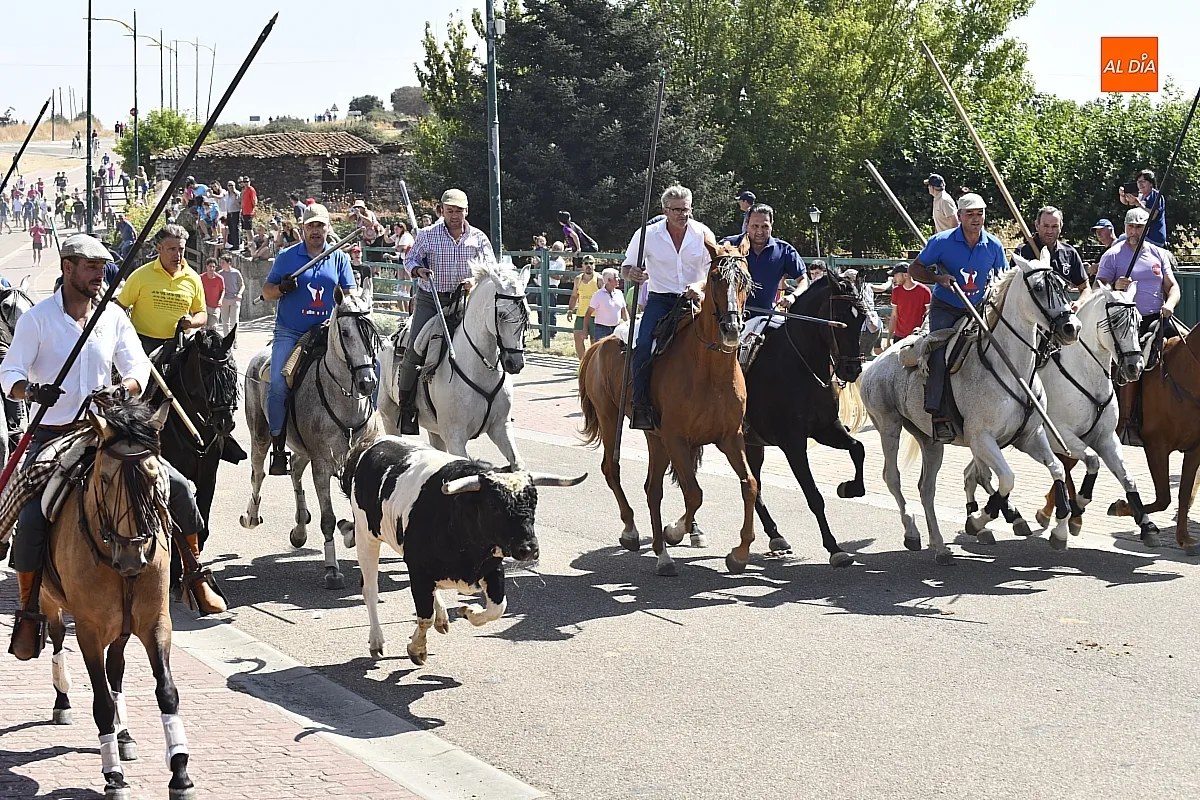 Encierro a caballo del lunes en Fuenteguinaldo/ Fotos: Adrián M.Pastor