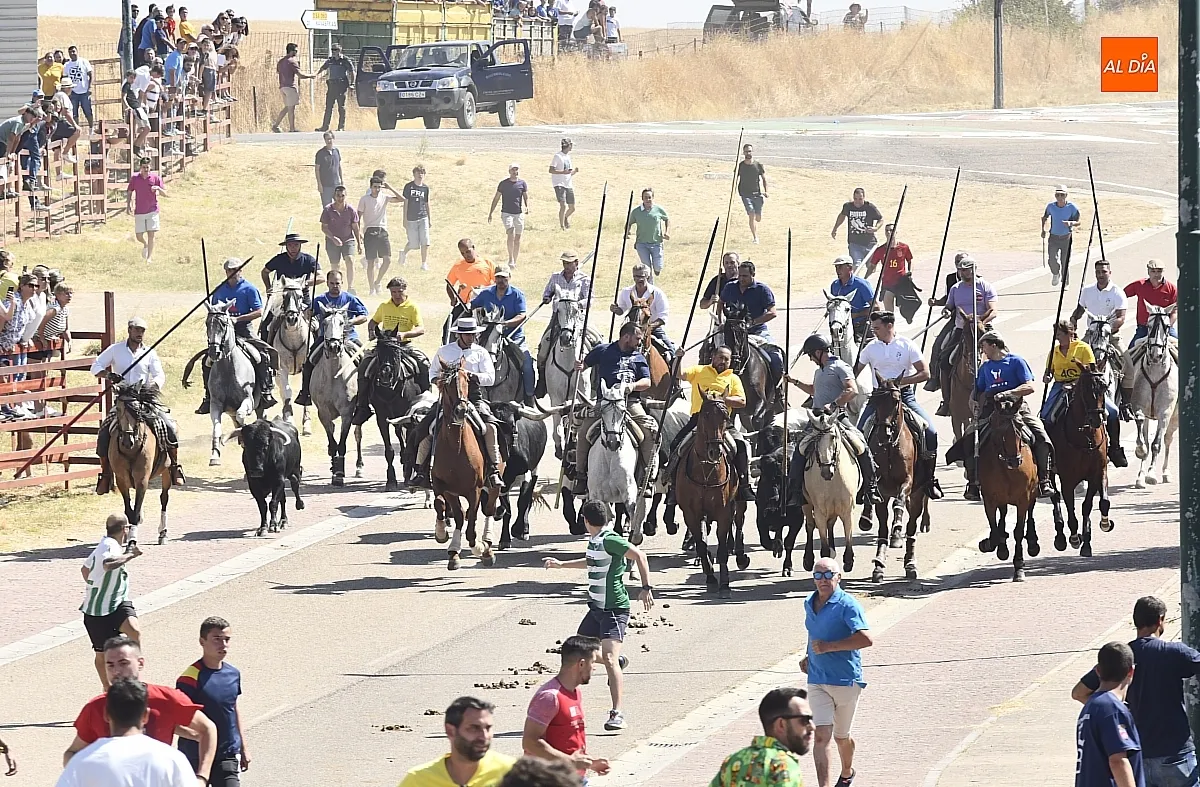 Encierro a caballo del lunes en Fuenteguinaldo/ Fotos: Adrián M.Pastor