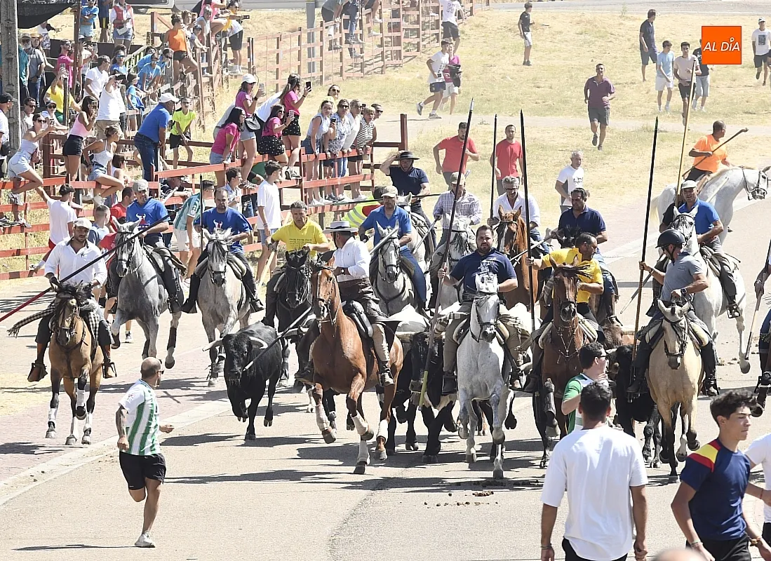 Encierro a caballo del lunes en Fuenteguinaldo/ Fotos: Adrián M.Pastor