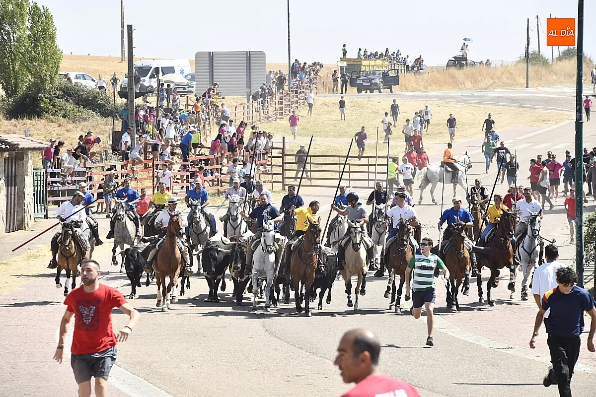 Encierro a caballo del lunes en Fuenteguinaldo/ Fotos: Adrián M.Pastor