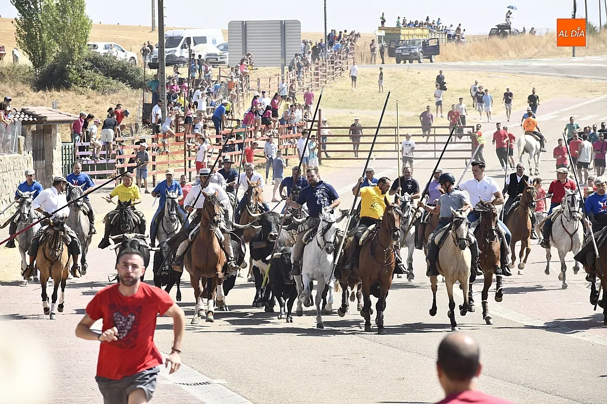 Encierro a caballo del lunes en Fuenteguinaldo/ Fotos: Adrián M.Pastor