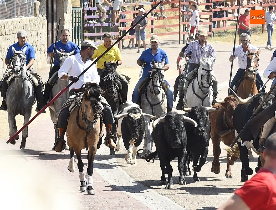 Encierro a caballo del lunes en Fuenteguinaldo/ Fotos: Adrián M.Pastor