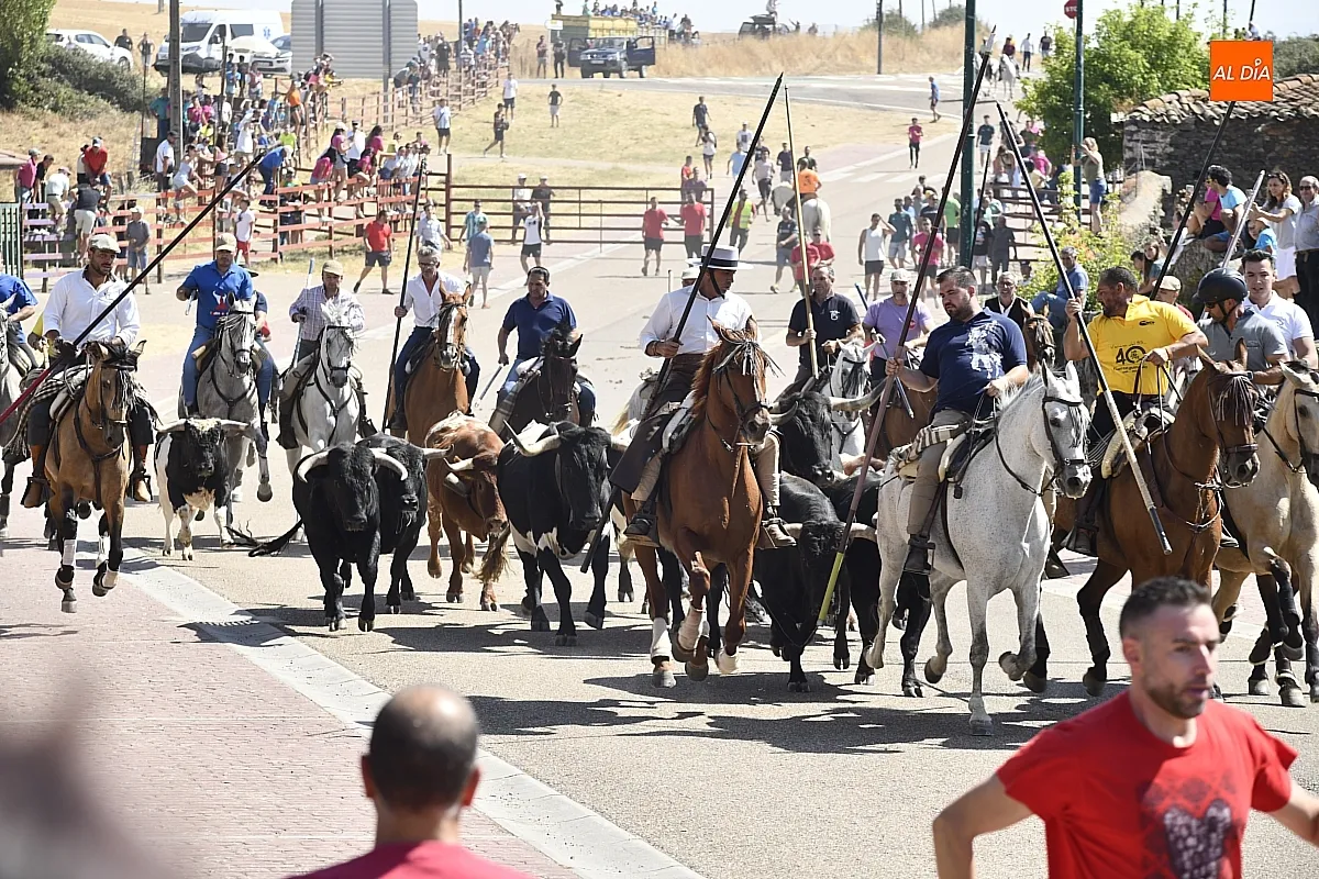 Encierro a caballo del lunes en Fuenteguinaldo/ Fotos: Adrián M.Pastor
