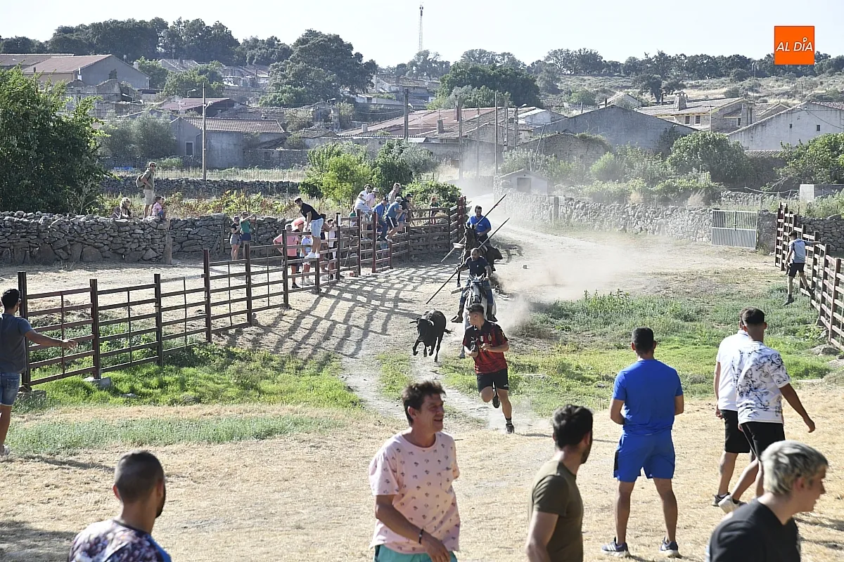 Encierro a Caballo en Fuentes de Oñoro/ Fotos: Adrián M.Pastor