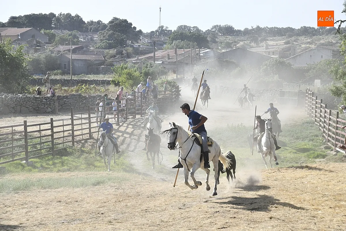Encierro a Caballo en Fuentes de Oñoro/ Fotos: Adrián M.Pastor