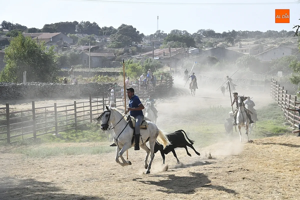 Encierro a Caballo en Fuentes de Oñoro/ Fotos: Adrián M.Pastor