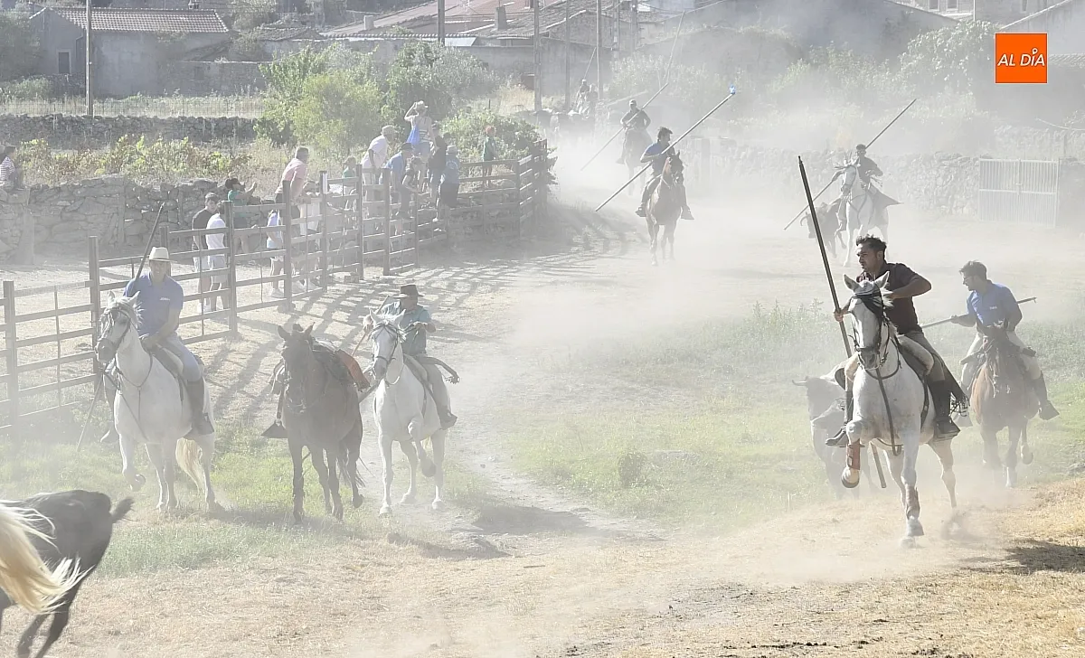 Encierro a Caballo en Fuentes de Oñoro/ Fotos: Adrián M.Pastor