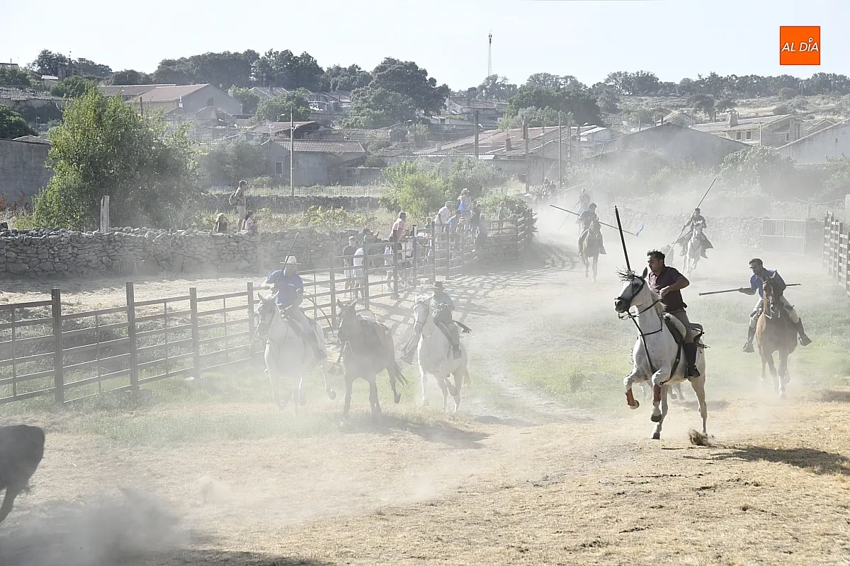 Encierro a Caballo en Fuentes de Oñoro/ Fotos: Adrián M.Pastor