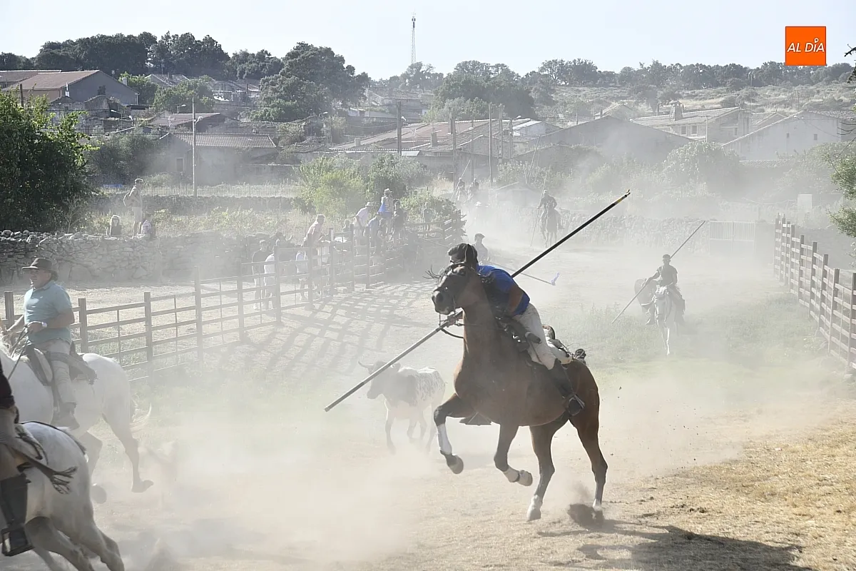 Encierro a Caballo en Fuentes de Oñoro/ Fotos: Adrián M.Pastor