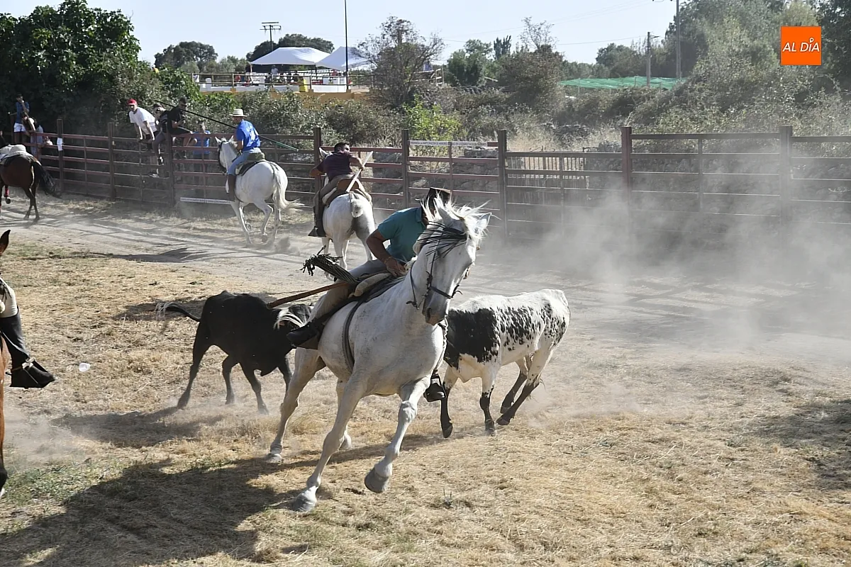 Encierro a Caballo en Fuentes de Oñoro/ Fotos: Adrián M.Pastor