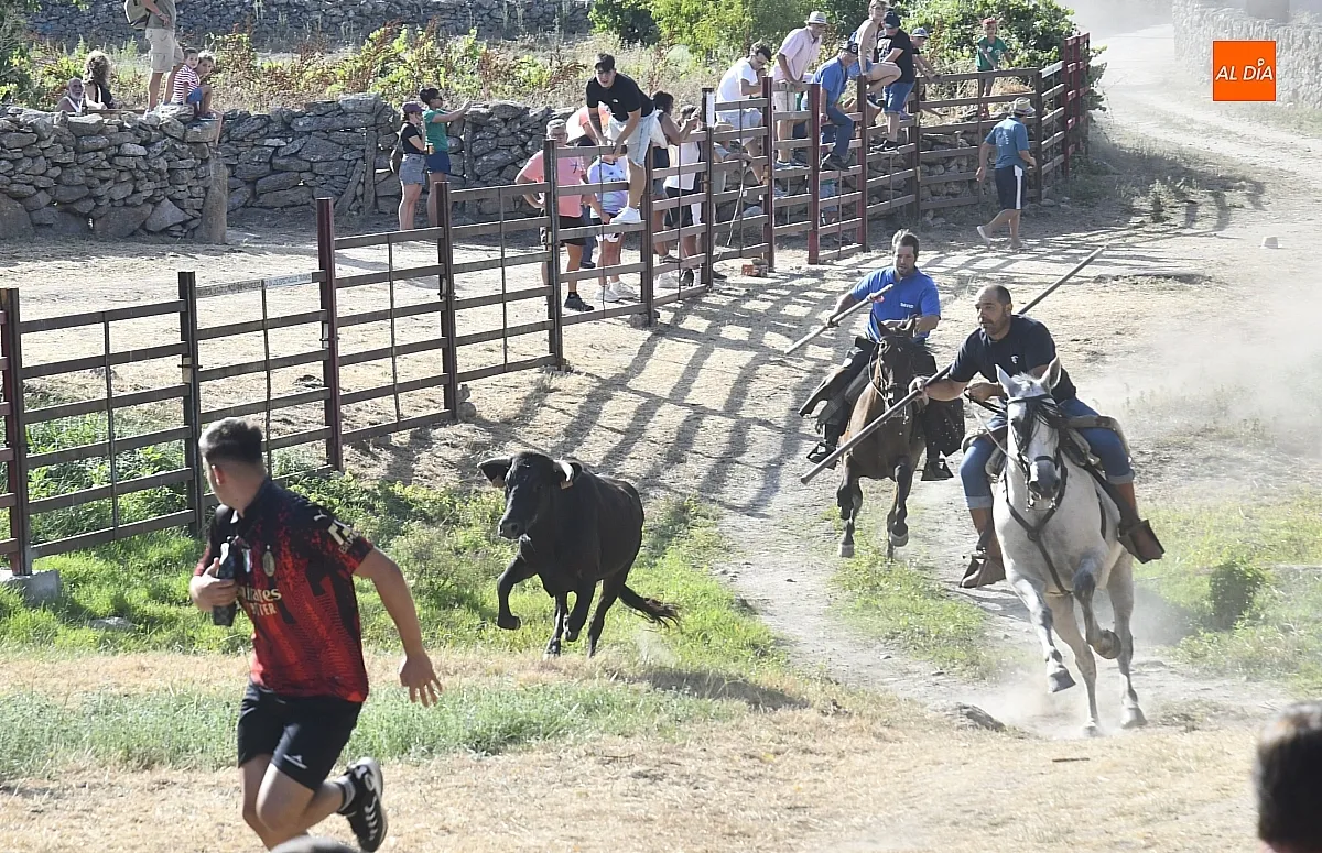 Encierro a Caballo en Fuentes de Oñoro/ Fotos: Adrián M.Pastor