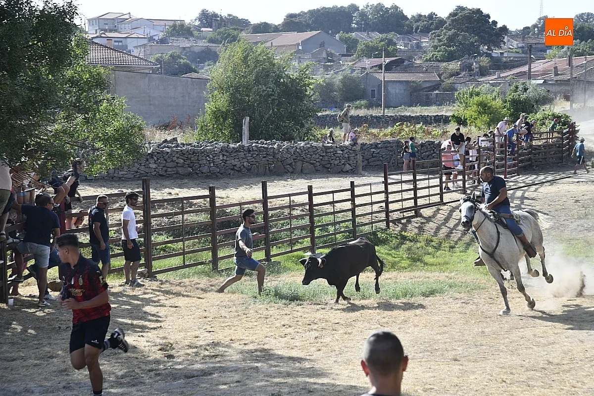 Encierro a Caballo en Fuentes de Oñoro/ Fotos: Adrián M.Pastor