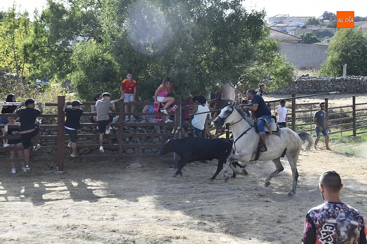 Encierro a Caballo en Fuentes de Oñoro/ Fotos: Adrián M.Pastor