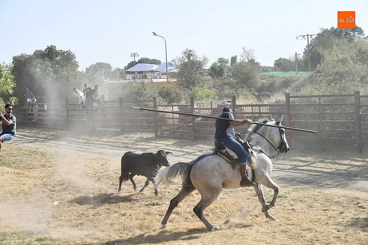 Encierro a Caballo en Fuentes de Oñoro/ Fotos: Adrián M.Pastor