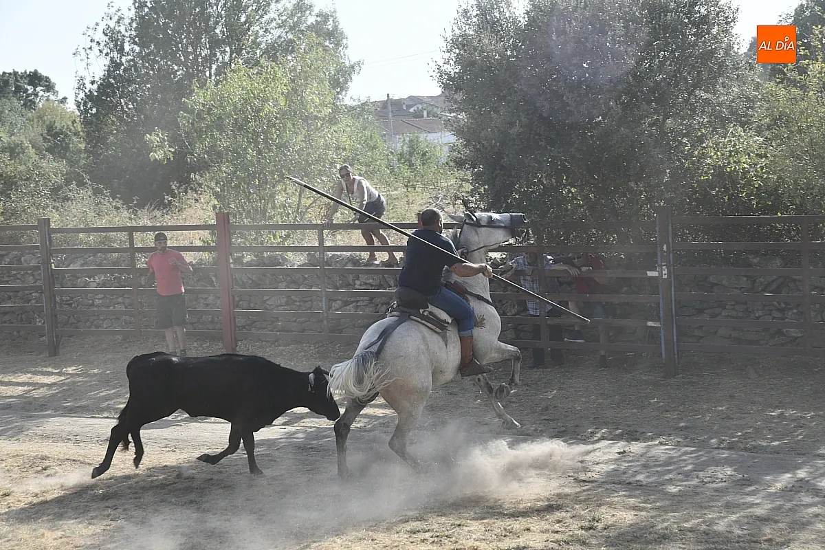 Encierro a Caballo en Fuentes de Oñoro/ Fotos: Adrián M.Pastor