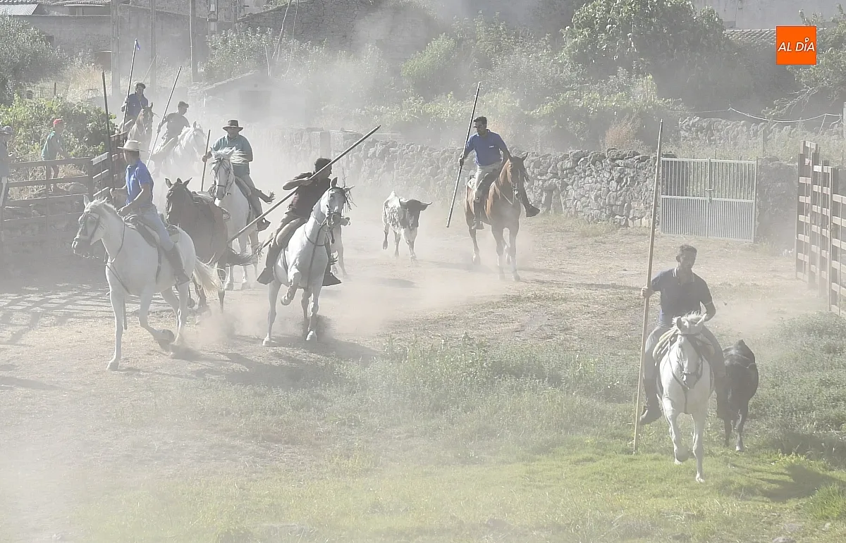 Encierro a Caballo en Fuentes de Oñoro/ Fotos: Adrián M.Pastor