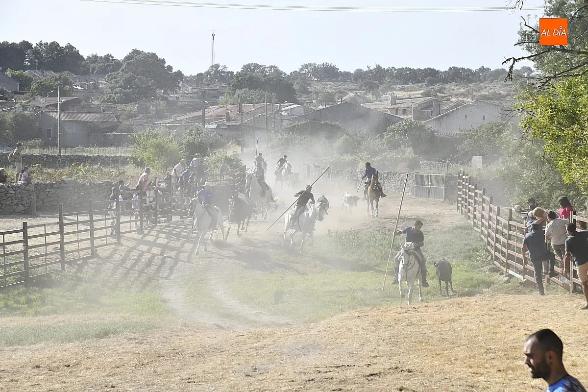 Encierro a Caballo en Fuentes de Oñoro/ Fotos: Adrián M.Pastor