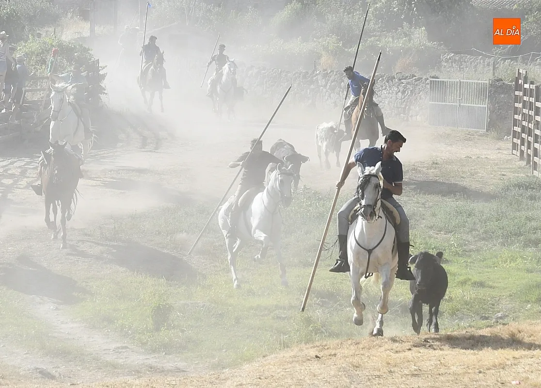 Encierro a Caballo en Fuentes de Oñoro/ Fotos: Adrián M.Pastor