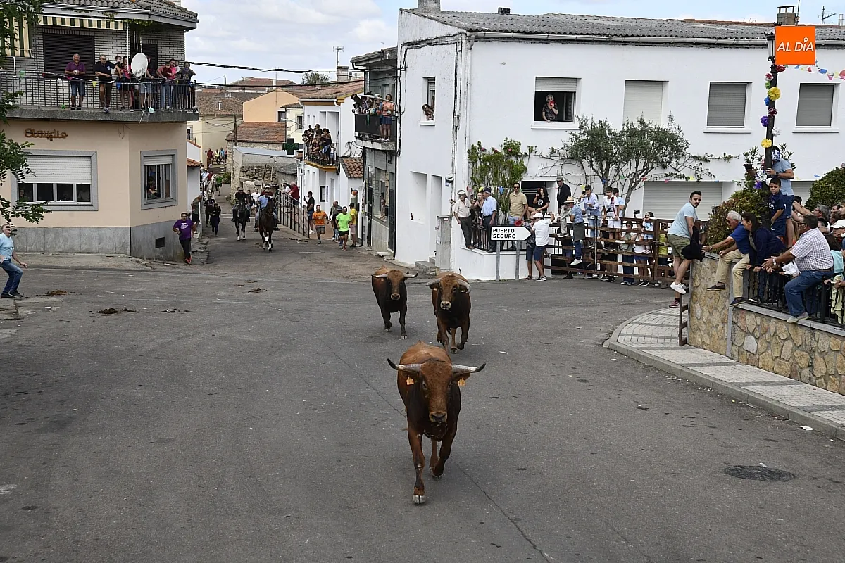 Encierro a Caballo en Villar de Ciervo / Fotos: Adrián M.Pastor
