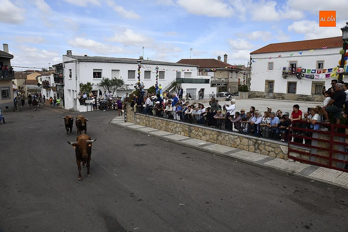 Encierro a Caballo en Villar de Ciervo / Fotos: Adrián M.Pastor