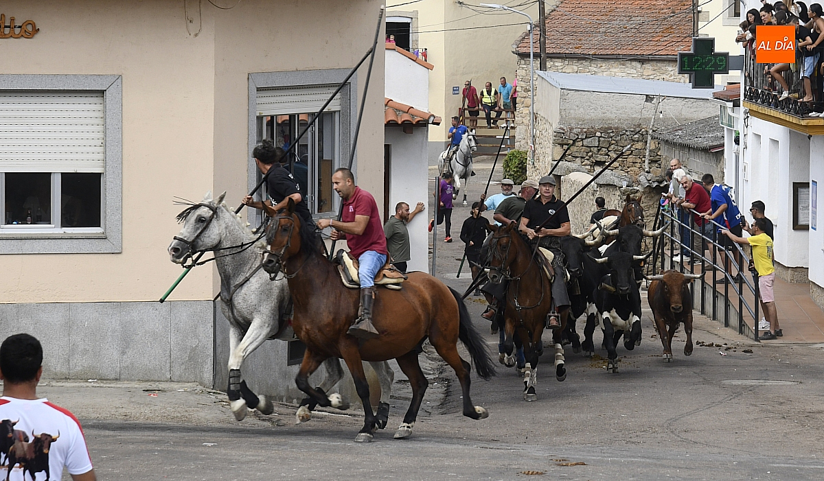  Encierro a Caballo para cerrar  fiestas  San Agustín en Villar de Ciervo