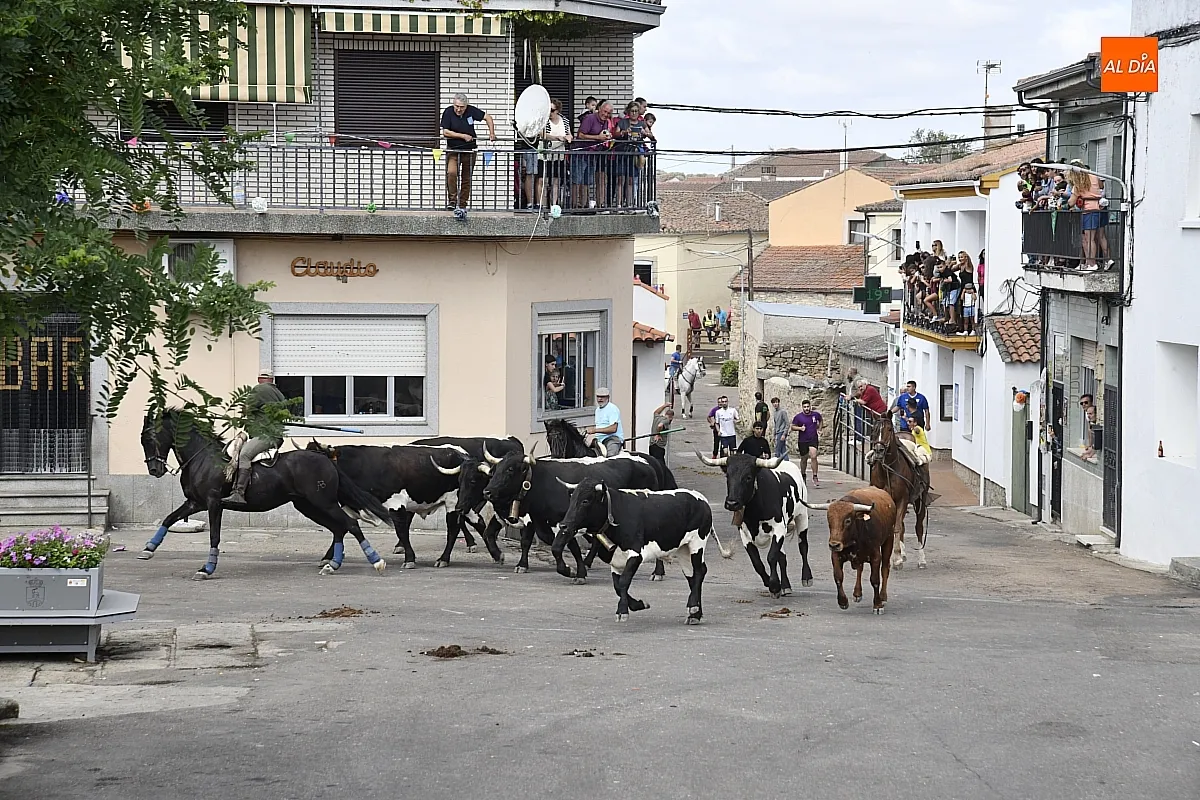 Encierro a Caballo en Villar de Ciervo / Fotos: Adrián M.Pastor