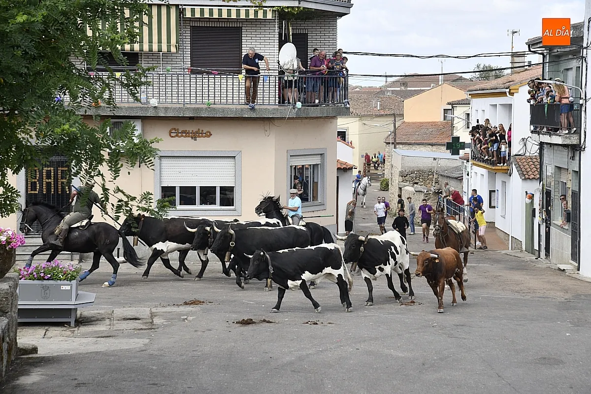 Encierro a Caballo en Villar de Ciervo / Fotos: Adrián M.Pastor